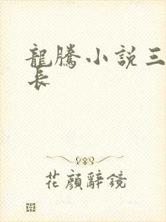 龙腾小说三宝局长