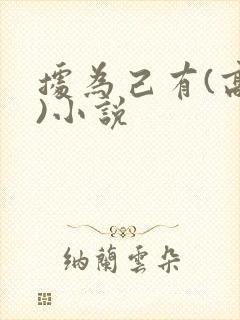 据为己有(高干)小说