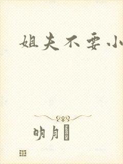 姐夫不要小说