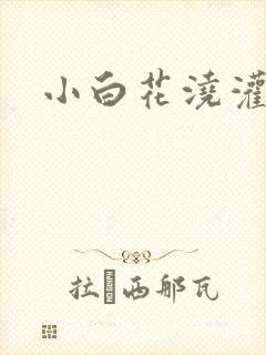 小白花浇灌日常