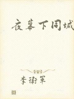 夜幕下同城网