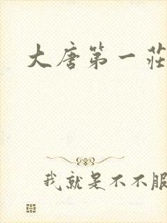 大唐第一庄