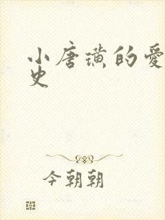 小唐璜的爱情历史