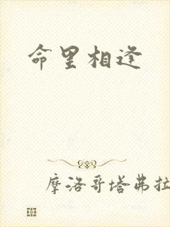 命里相逢
