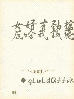 女婿有劲枪枪到底啥我钱飞了