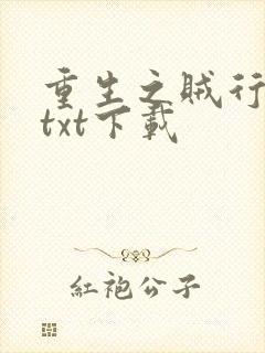 重生之贼行天下txt下载
