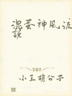 混蛋神风流史小说