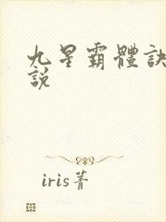 九星霸体诀 小说