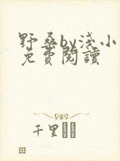 野桑by浅小说免费阅读