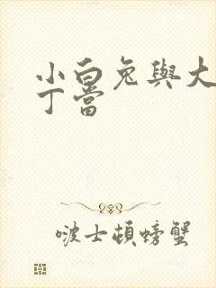 小白兔与大灰狼丁当