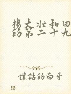 杨大壮和田桂花的第二十九