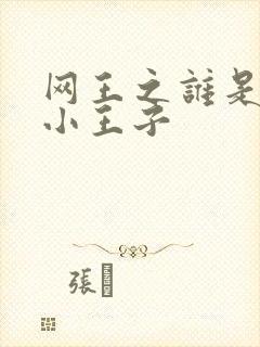 网王之谁是我的小王子