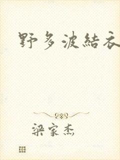 野多波结衣