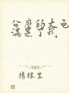 公么的大龟强大满足了我