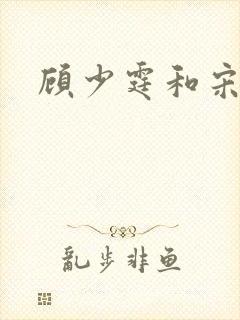 顾少霆和宋斯曼