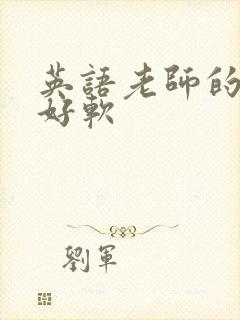 英语老师的兔子好软