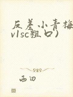 反差小青梅(1v1sc粗口)