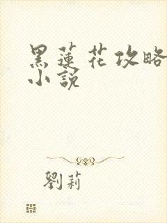 黑莲花攻略手册小说