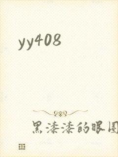 yy408