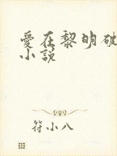 爱在黎明破晓前小说