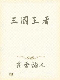 三国王者