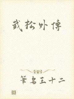 武松外传
