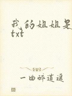 我的姐姐是美女txt