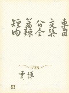 短篇公交车高h肉辣全集目录