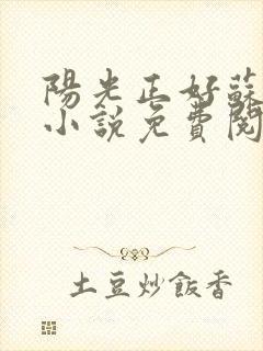 阳光正好苏玥玥小说免费阅读无弹窗