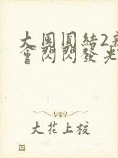 大团圆结2亲情会闪闪发光亲情会