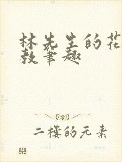 林先生的花式管教笔趣