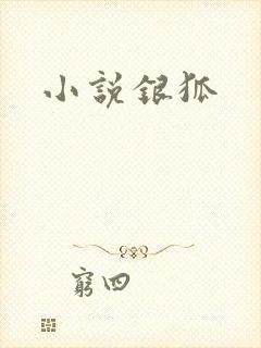 小说银狐