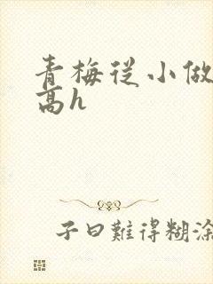 青梅从小做到大高h
