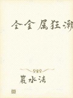 全金属狂潮小说