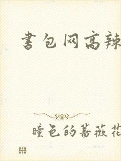 书包网高辣文