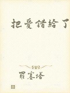 把爱错给了你
