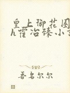 皇上御花园hlh霍冶臻小说