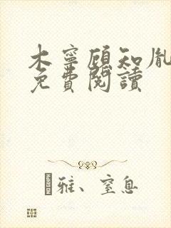 木宁顾知胤小说免费阅读