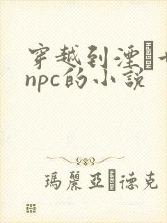 穿越到湮婸世界npc的小说