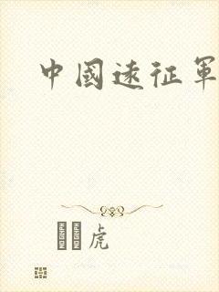 中国远征军小说