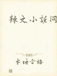 辣文小说网