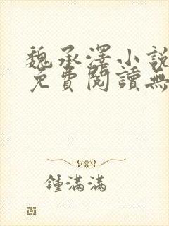 魏承泽小说全文免费阅读无弹窗笔趣