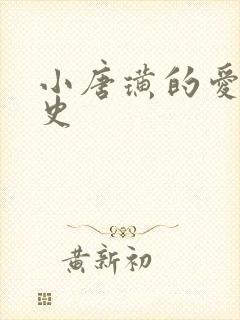 小唐璜的爱情历史