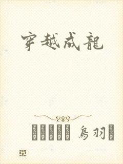 穿越成龙