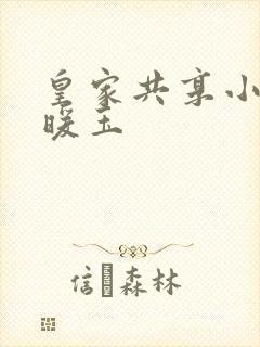 皇家共享小公主暖玉