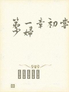 第一章初尝极品少妇