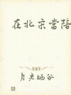 在北宋当陪房