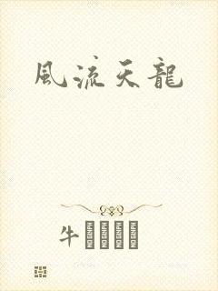 风流天龙