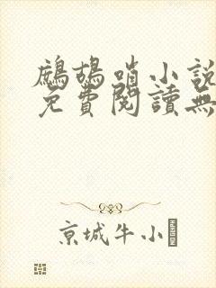 鹧鸪哨小说网站免费阅读无弹窗