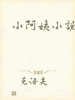 小阿姨小说